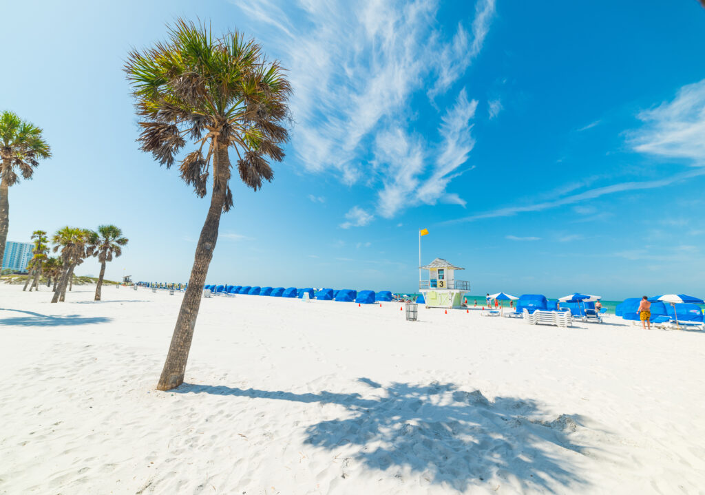 White sand and palm trees in Florida