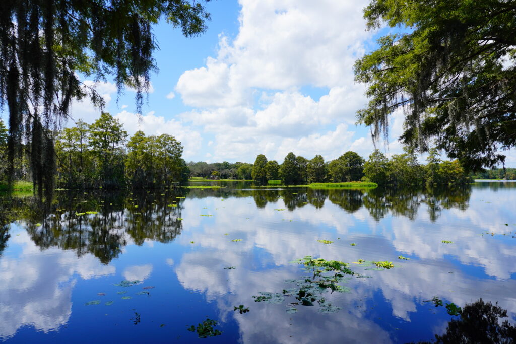 Lake area with lush greenery in Palma Ceia neighborhood in the Tampa area 