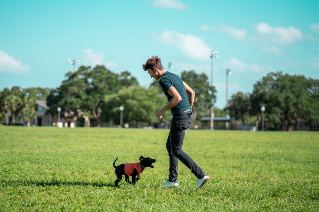 Latin man walks his puppy, dog at the park. Summer activities